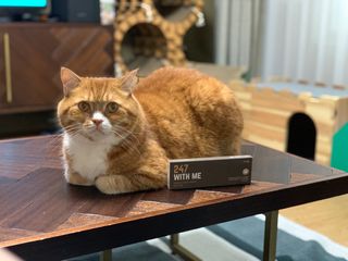 선짱님이 올린 리뷰 사진 3