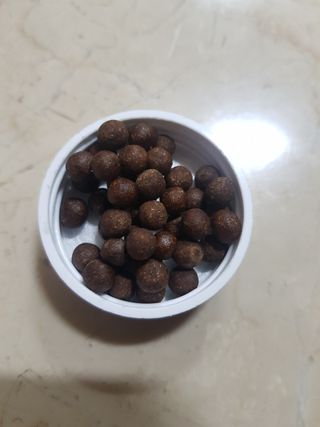 펫21 그로그로 5종 강아지 고양이 반려동물 한방 영양제 — 5점을 준 리뷰어가 2021년 11월 올린 사용 사진