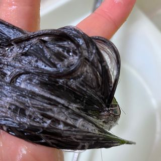 르핸스 퍼포밍 5 샴푸 비반트 포렛/베티버 포그 — 5점을 준 리뷰어가 2022년 12월 올린 사용 사진