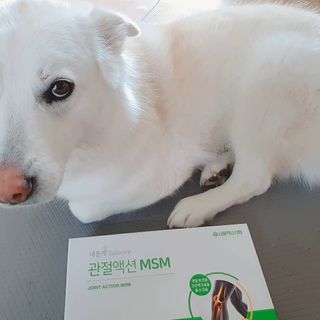 서울약사신협_내몸애발란스관절액션MSM_850mg x 90정 — 5점을 준 리뷰어가 2021년 3월 올린 사용 사진