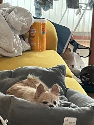 Lucy님이 올린 리뷰 사진 2