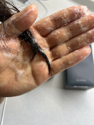 르핸스 퍼포밍 5 샴푸 비반트 포렛/베티버 포그 — 5점을 준 리뷰어가 2022년 12월 올린 사용 사진