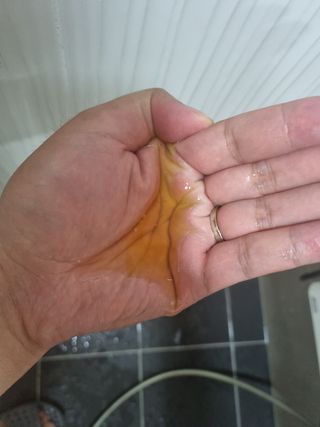 김고양이님이 올린 리뷰 사진 2