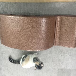 케이트25님이 올린 리뷰 사진 4