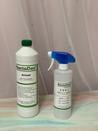 SooYeon님이 올린 리뷰 사진 2