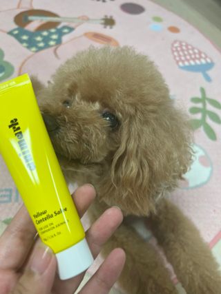 토끼님이 올린 리뷰 사진 2