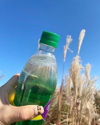 몽베스트 Montbest with Sparkling water Lemon OR Lime 20병(랜덤) — 4점을 준 리뷰어가 2022년 10월 올린 사용 사진