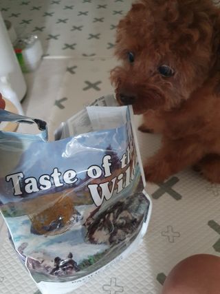 희야님이 올린 리뷰 사진 2