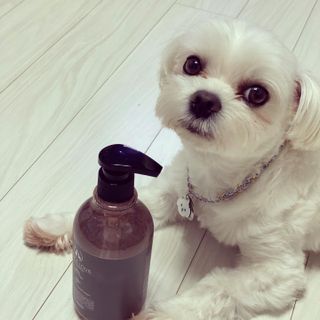 마리앤루이펫샴푸 [mari and louie pet shampoo] — 5점을 준 리뷰어가 2021년 5월 올린 사용 사진