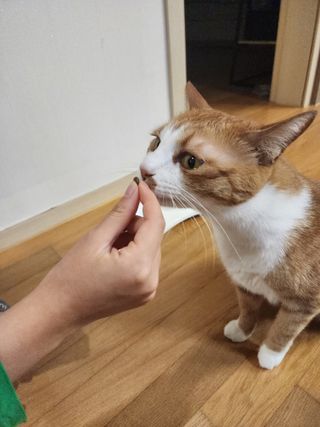 호야맘님이 올린 리뷰 사진 1