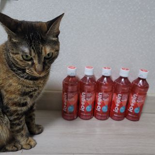 이째님이 올린 리뷰 사진 3