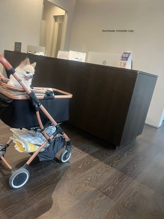 Lucy님이 올린 리뷰 사진 1