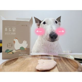 도그퓨어 푸드닭 강아지 닭고기 통살 애견간식 오리지널/차전자피/초록입홍합 — 3.5점을 준 리뷰어가 2021년 11월 올린 사용 사진