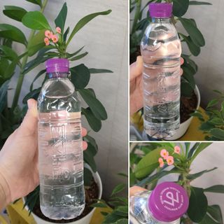 혀니러브님이 올린 리뷰 사진 2