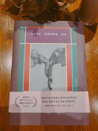 보리빵야님이 올린 리뷰 사진 2