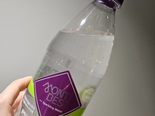 몽베스트 Montbest with Sparkling water Lemon OR Lime 20병(랜덤) — 5점을 준 리뷰어가 2024년 4월 올린 사용 사진