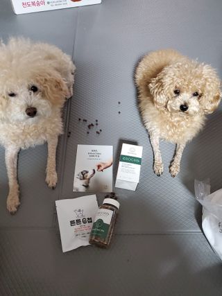 모모맘님이 올린 리뷰 사진 1