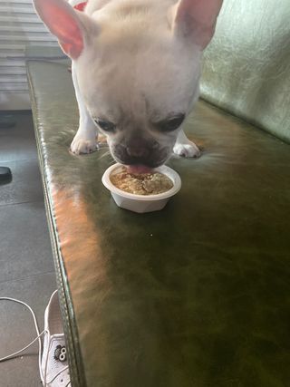 이샤르르님이 올린 리뷰 사진 4