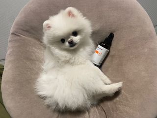 뽀송님이 올린 리뷰 사진 1