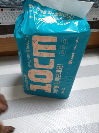 아베크 펫 와이드 프리미엄 중형 애견 강아지 배변 패드 54매 1팩 45g — 5점을 준 리뷰어가 2021년 7월 올린 사용 사진