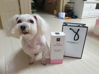 사라님이 올린 리뷰 사진 2