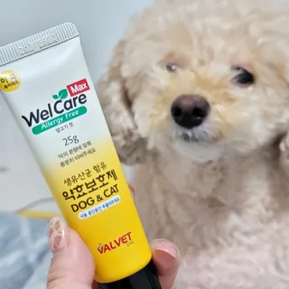 야토언니님이 올린 리뷰 사진 1