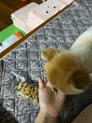 박유정님이 올린 리뷰 사진 1