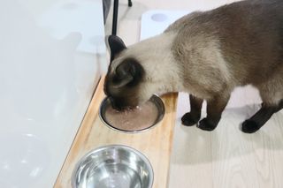 옌뽀님이 올린 리뷰 사진 3