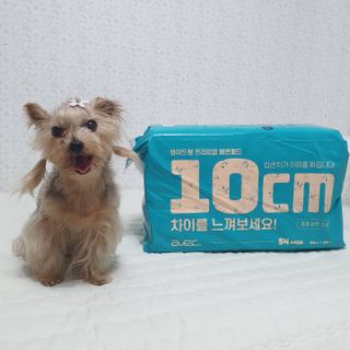 아베크 펫 와이드 프리미엄 중형 애견 강아지 배변 패드 54매 1팩 45g — 5점을 준 리뷰어가 2021년 7월 올린 사용 사진