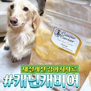 캐닌캐비어 알카라인 홀리스틱 그레이프리 앙뜨레 ALS_4종 오픈스카이, 와일드오션, 프리스피릿, 스페셜니즈 — 5점을 준 리뷰어가 2023년 6월 올린 사용 사진