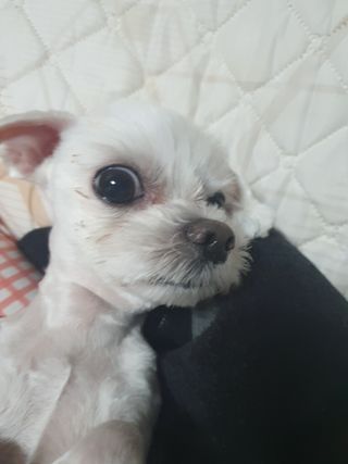 보리살앙님이 올린 리뷰 사진 4