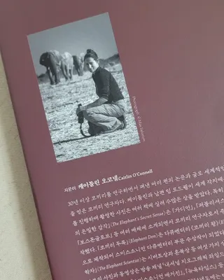 대박이님이 올린 리뷰 사진 3