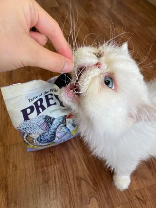 김푸딩님님이 올린 리뷰 사진 2