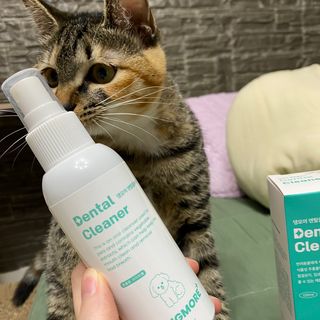 [댕모어 클리너 3종] 아이클리너 / 이어클리너 / 덴탈클리너 3종 세트 (120ml) — 4점을 준 리뷰어가 2023년 10월 올린 사용 사진