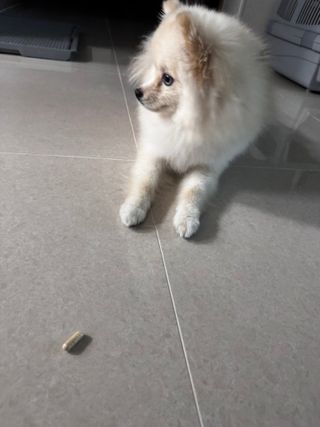 퓨리아님이 올린 리뷰 사진 3