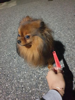 쑤닝님이 올린 리뷰 사진 1