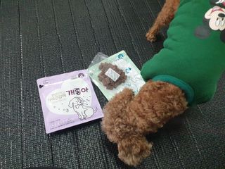 My Pet Care 천연단백질 눈건강에 개좋아 — 5점을 준 리뷰어가 2021년 1월 올린 사용 사진