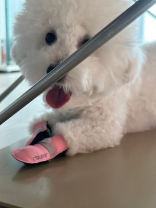 람예님이 올린 리뷰 사진 2