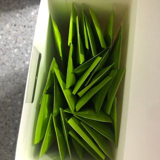 myllovy님이 올린 리뷰 사진 2