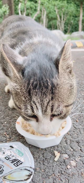 JennyJung님이 올린 리뷰 사진 2