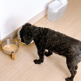 우와한언니님이 올린 리뷰 사진 1