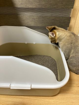앙주비님이 올린 리뷰 사진 2