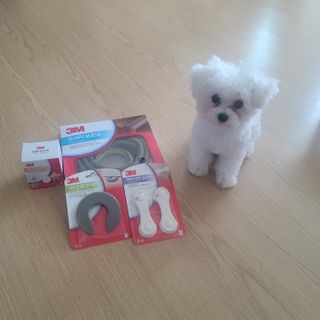 영님이 올린 리뷰 사진 2