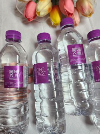 몽베스트 [MONTBEST]위드어스 500mL 20병 — 5점을 준 리뷰어가 2024년 2월 올린 사용 사진
