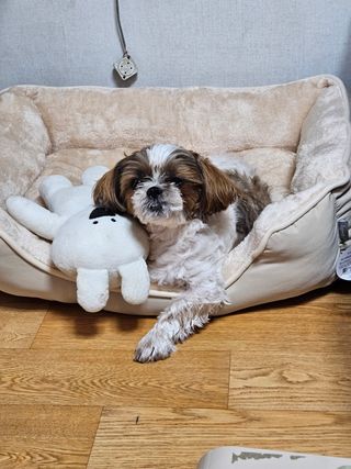 이린님이 올린 리뷰 사진 3