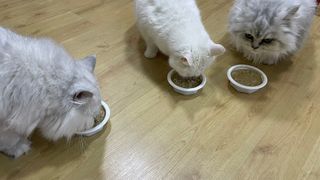 mojo님이 올린 리뷰 사진 3
