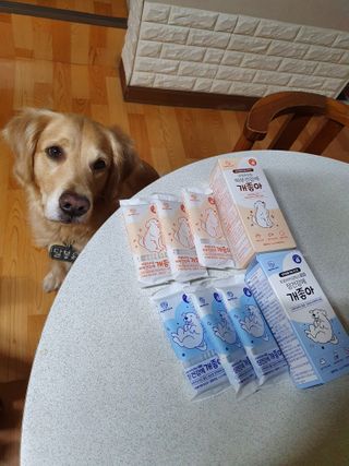 My Pet Care 모발과 모질 피부건강에 개좋아 — 5점을 준 리뷰어가 2021년 1월 올린 사용 사진