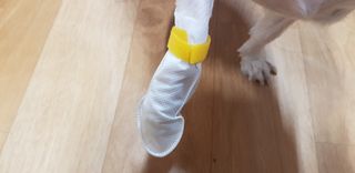 초아찡님이 올린 리뷰 사진 3