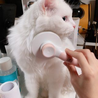 슈님이 올린 리뷰 사진 3