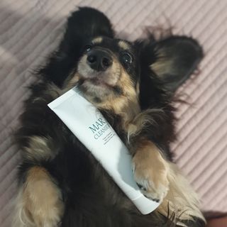 일삼마미뽕님이 올린 리뷰 사진 1